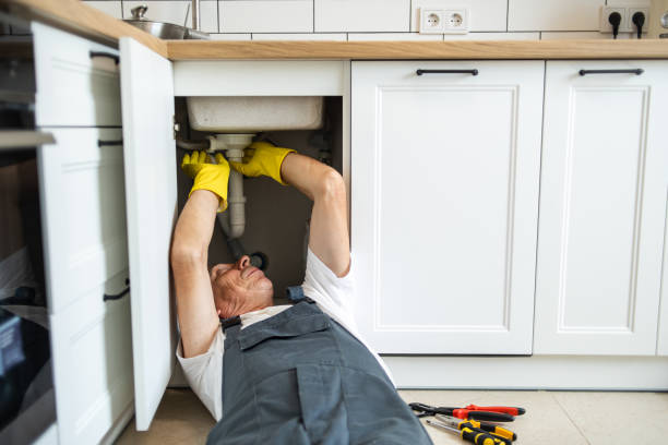 Best Septic Systems  in Pea Ridge, FL