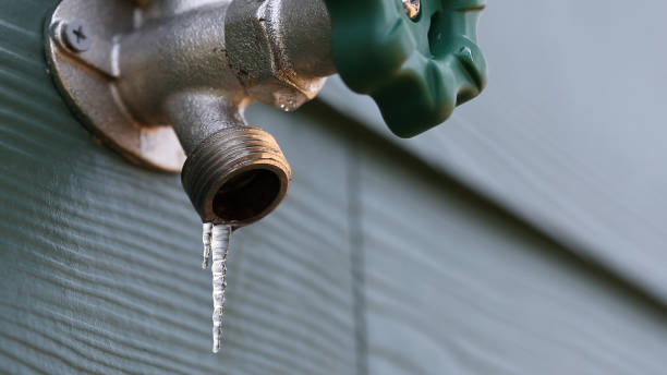  Pea Ridge, FL Plumbing Pros