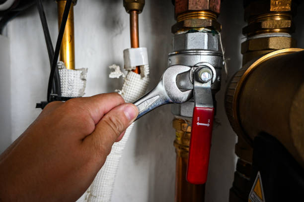 Best Water Heater Repair  in Pea Ridge, FL